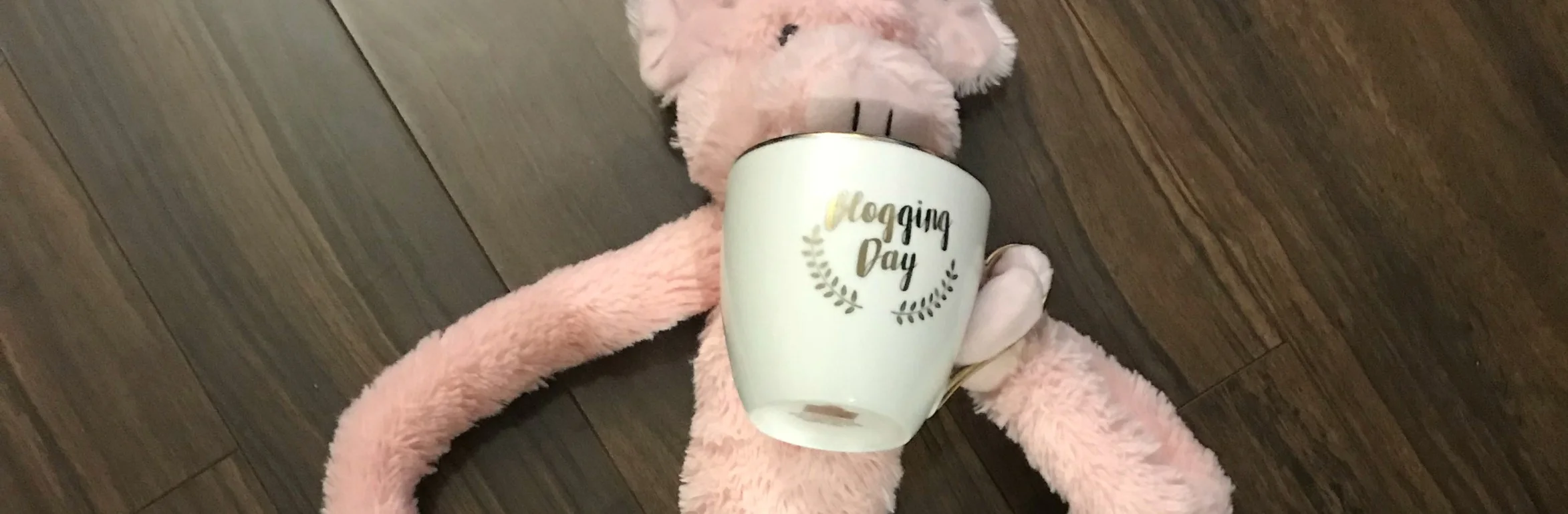 Instagram Stories For Events