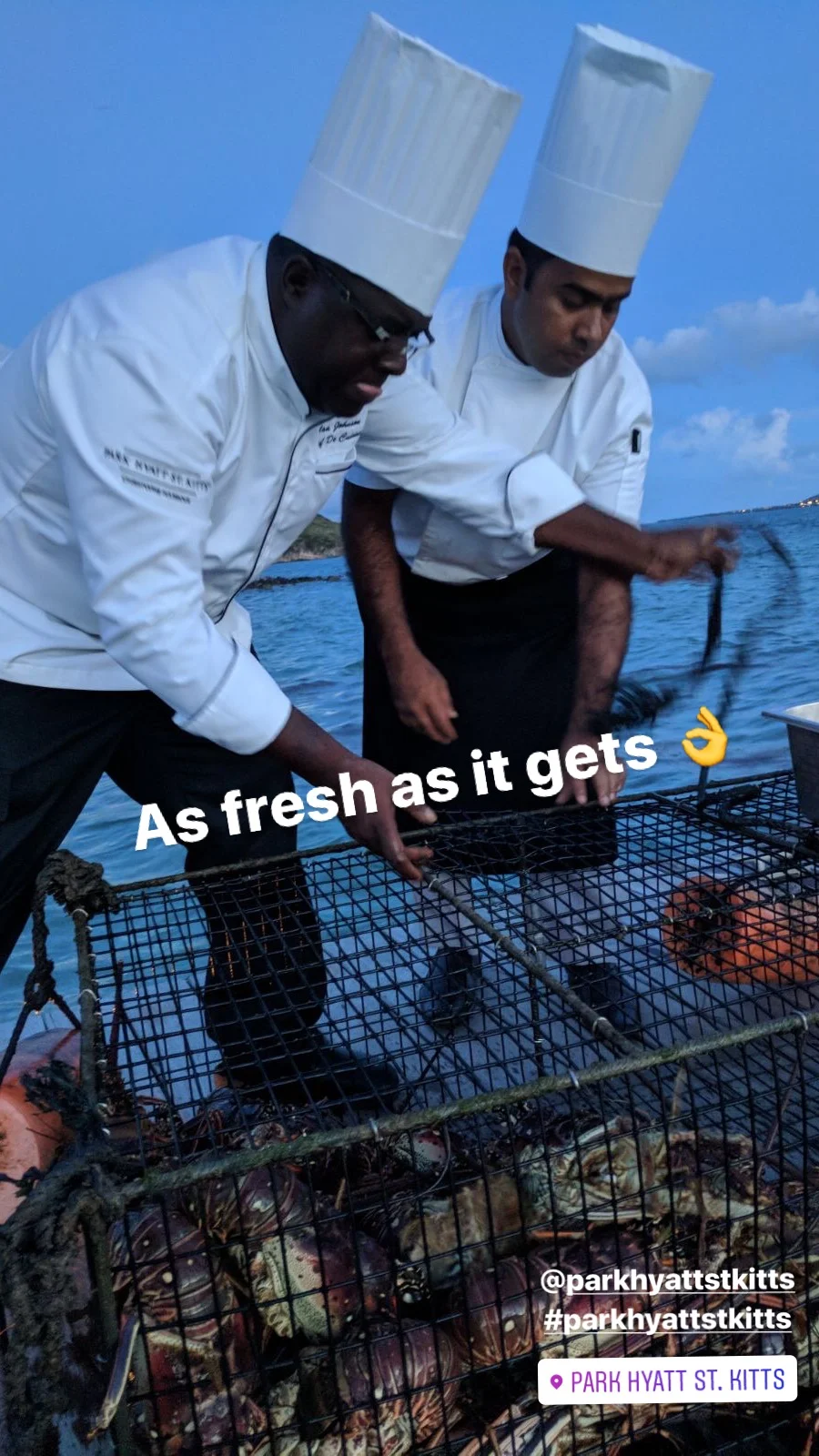 fresh.jpg