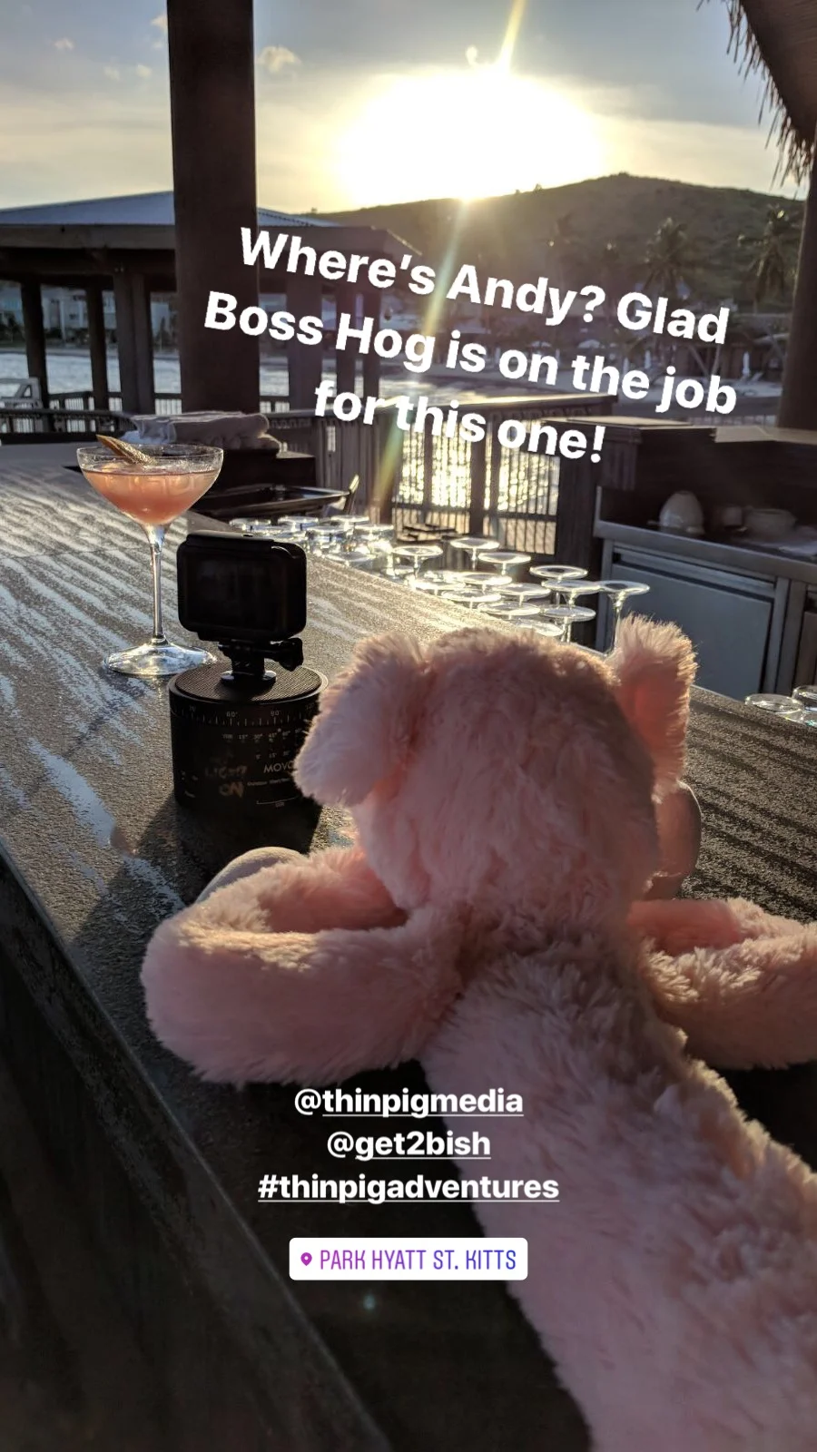 boss hog.jpg