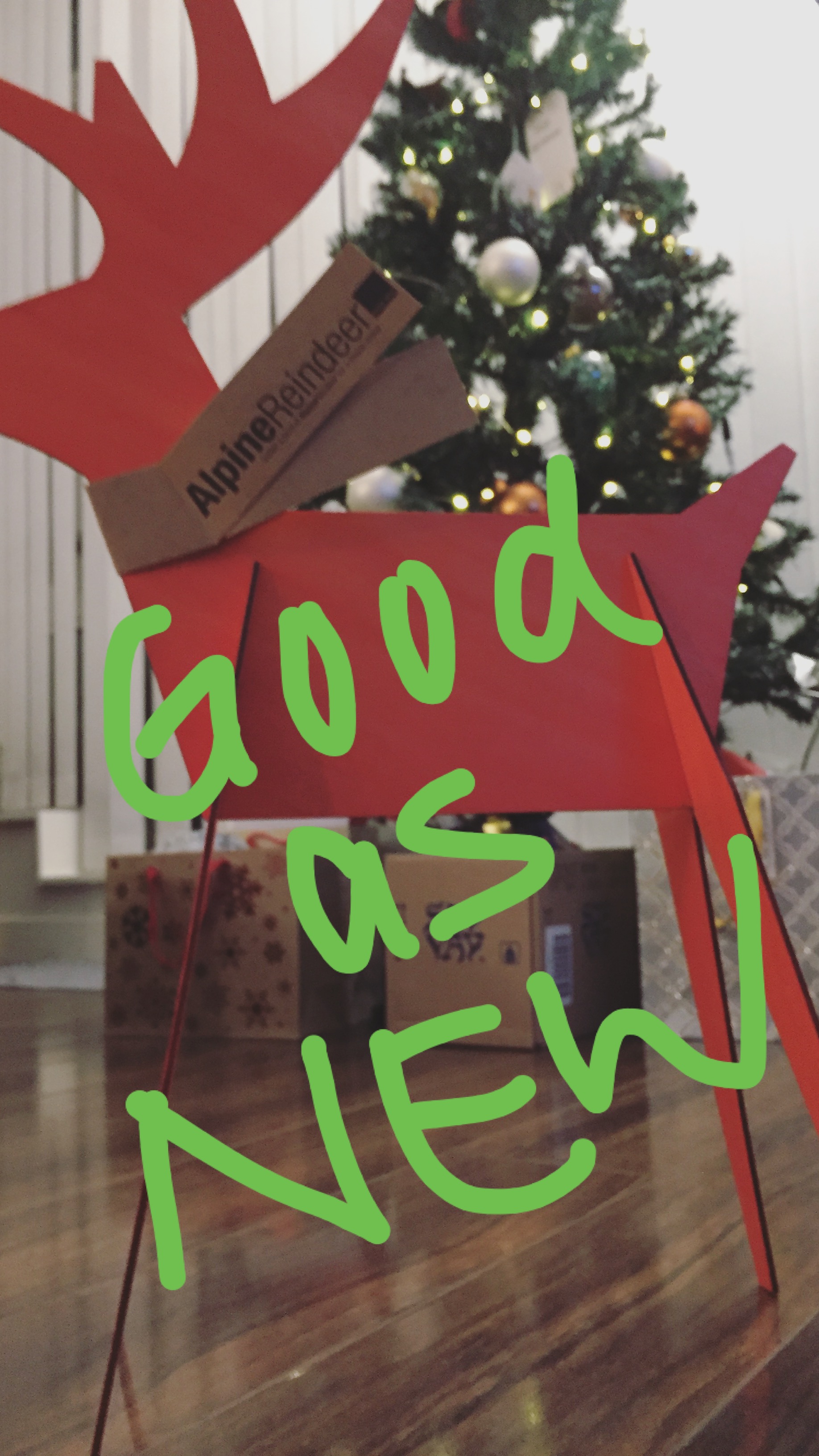 reindeer 3.jpg