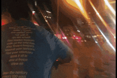 FakeGraciousImpala-size_restricted.gif