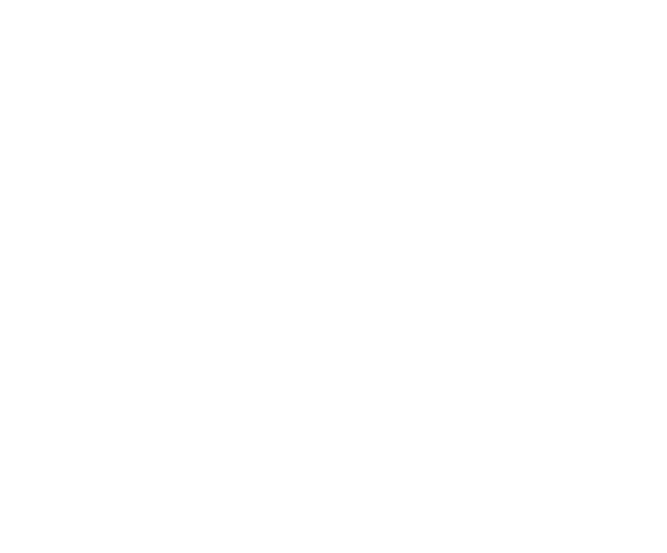 Barn-Pros.png
