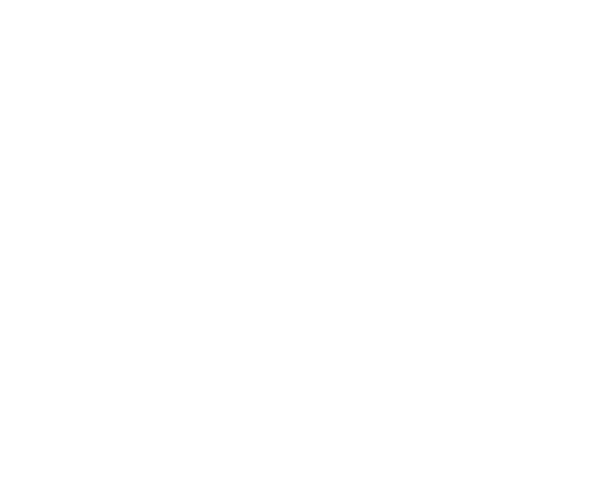 Hyatt-Regency-Thin-Pig-Media.png