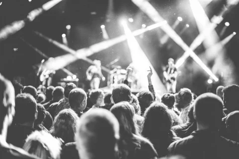party-people-rocking-hands-up-picjumbo-com (1).jpg