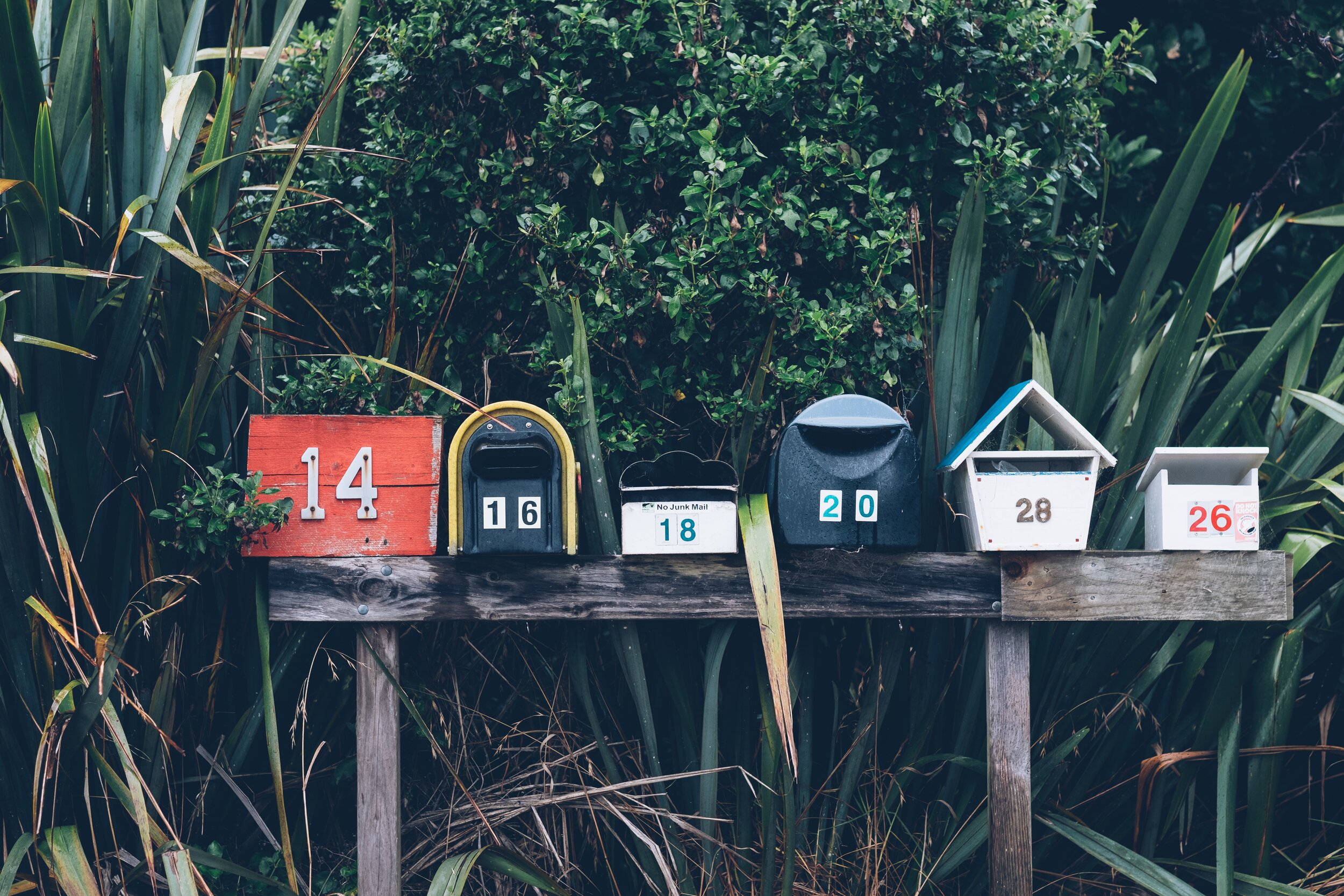 The newsletter is dead, long live the newsletter!