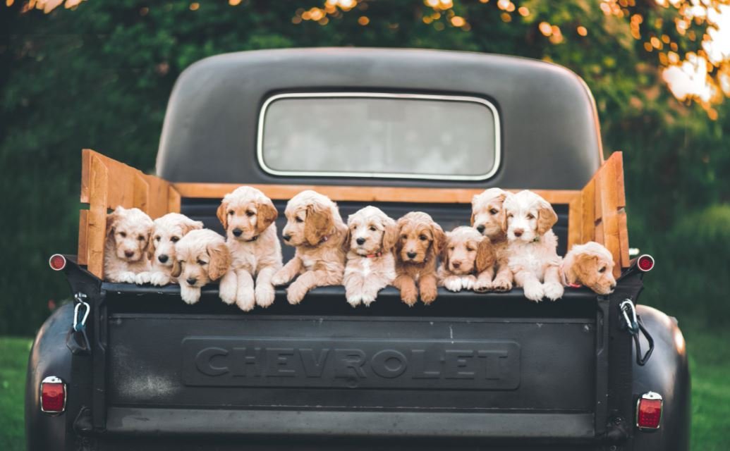 If it makes you happy, write about it!