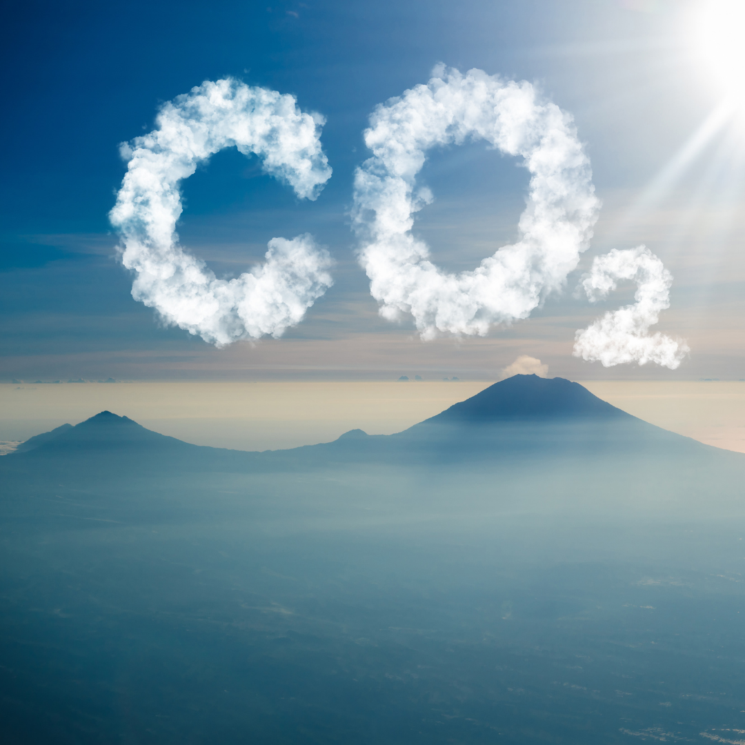  5 Tips for Reducing Your Carbon Footprint 