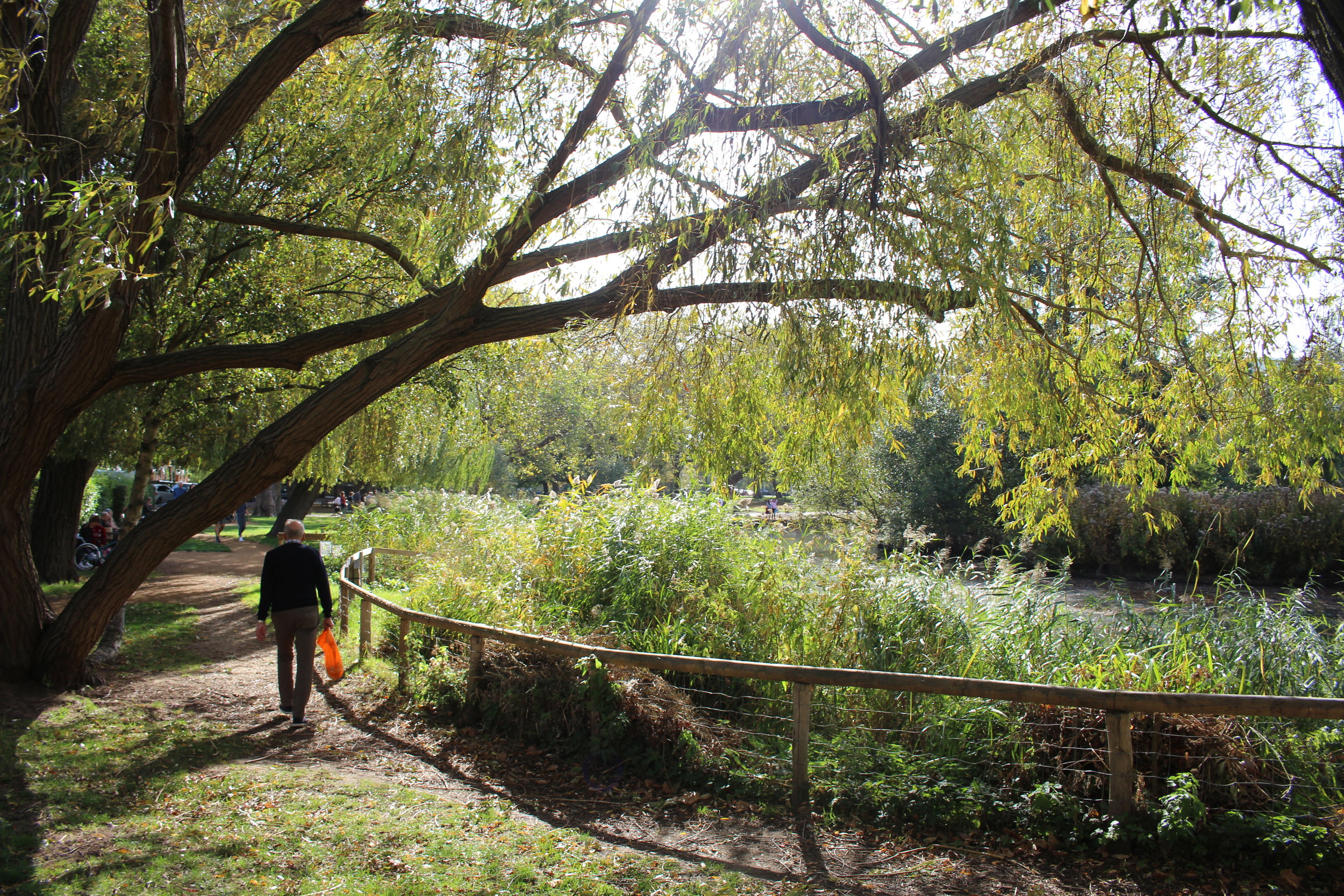 Best London Parks, Barnes Pond