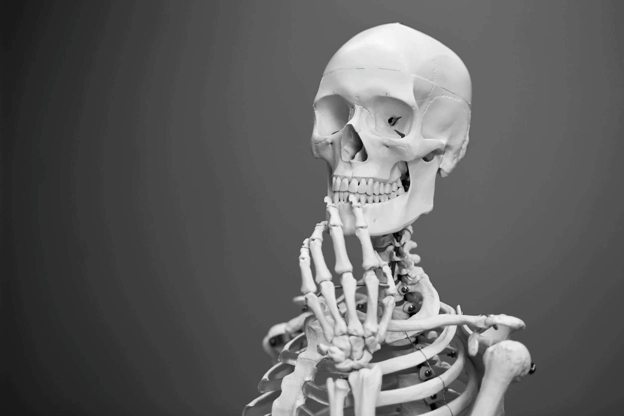 The Science Behind 'Skeleton Health': Basics of Bone Density