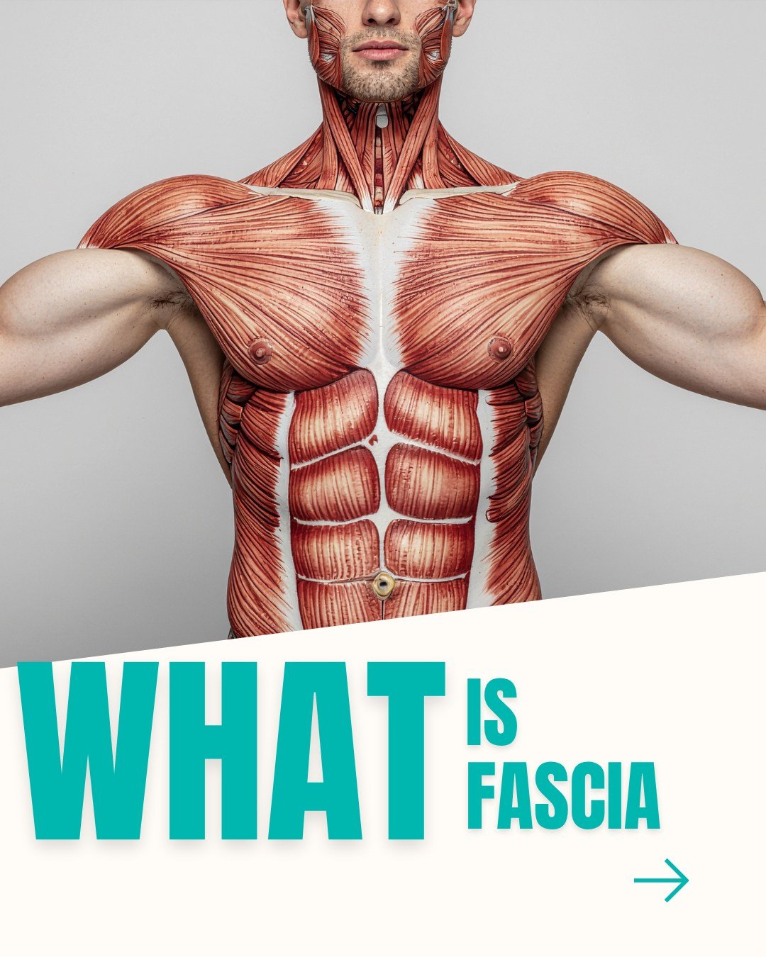 Have you ever woken up stiff, stretched it out, and then had the same thing happen the next morning?

Most people blame their mattress. Or their age. Or just being busy.

But there's a good chance the real answer is something most people have never t