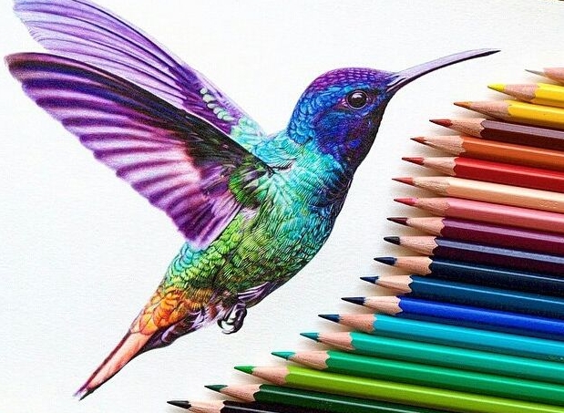 ef2aff99f66aa43d4981e2f4cf90d32a_image-result-for-color-pencil-art-doodles-color-pencil-ideas-color-pencil-drawing-pictures_637-607.jpeg