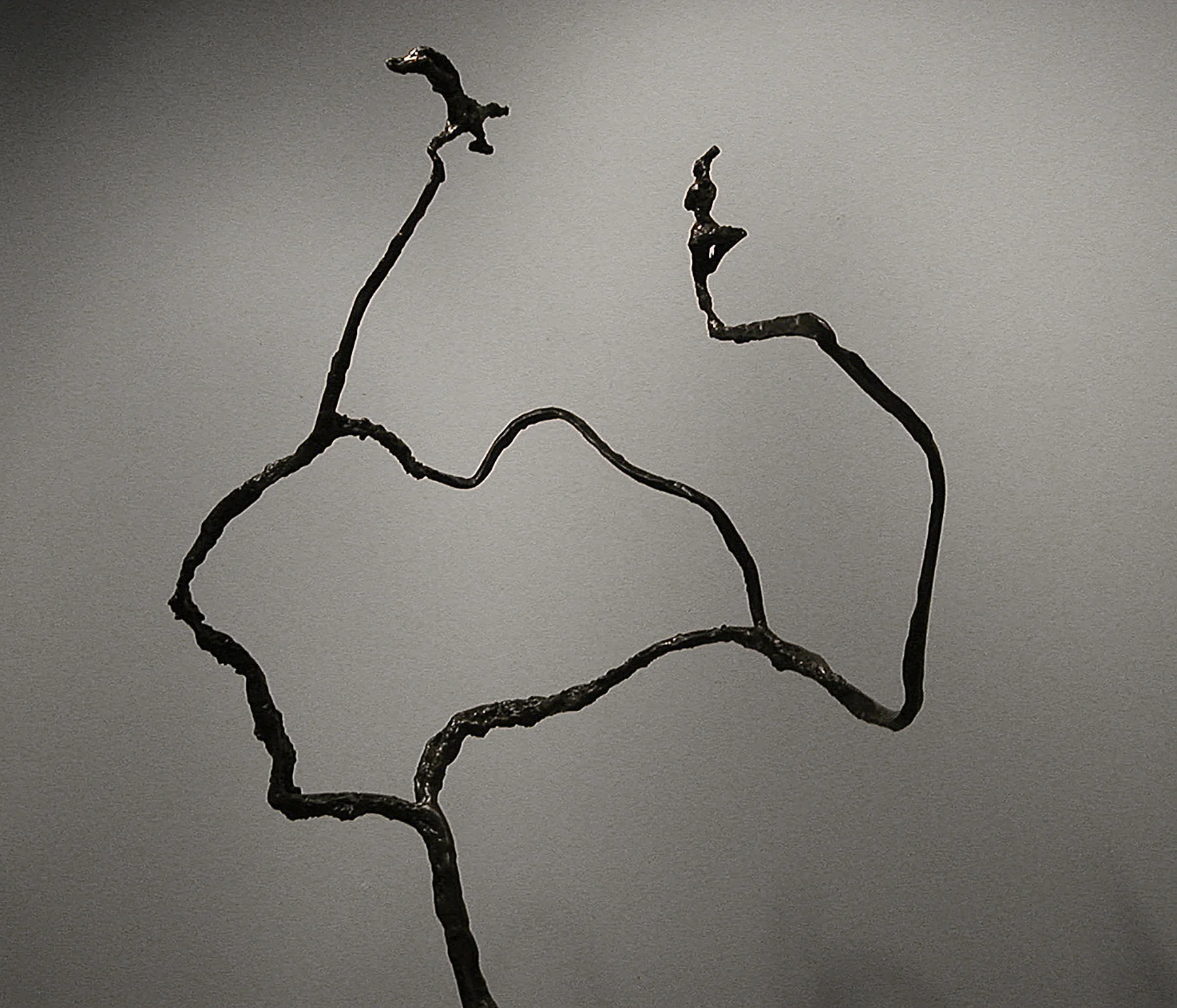 Tree of Life