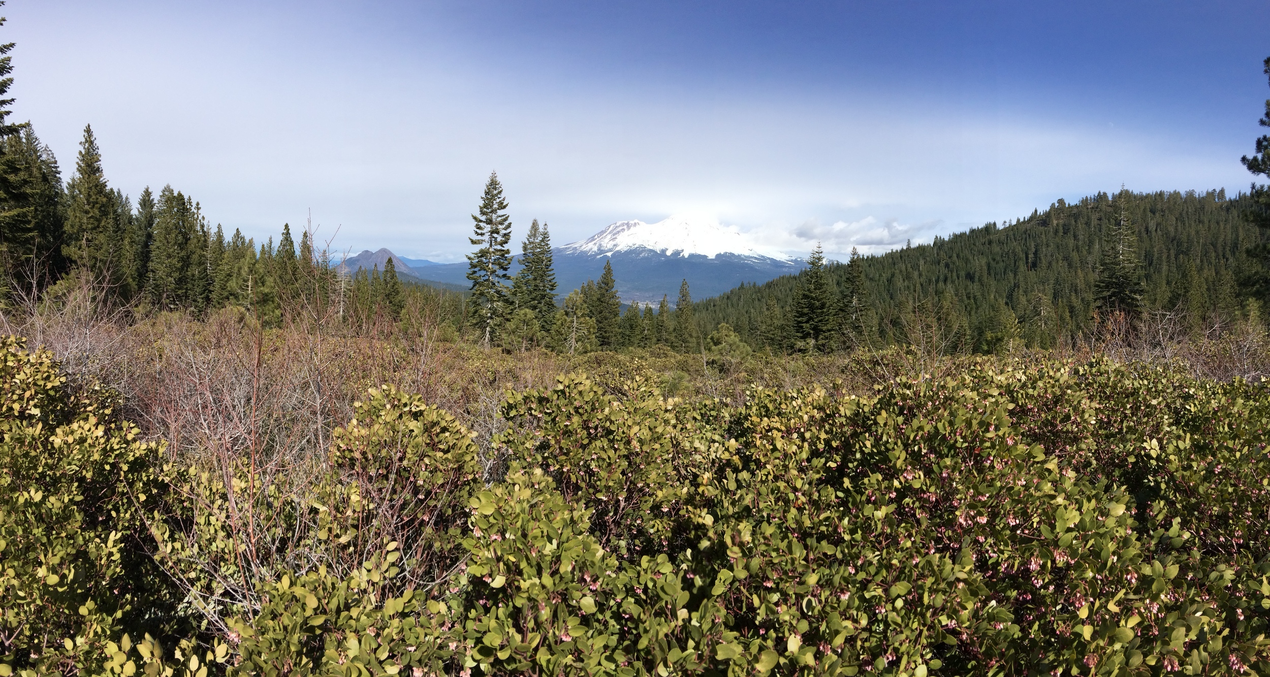 Mount Shasta, CA
