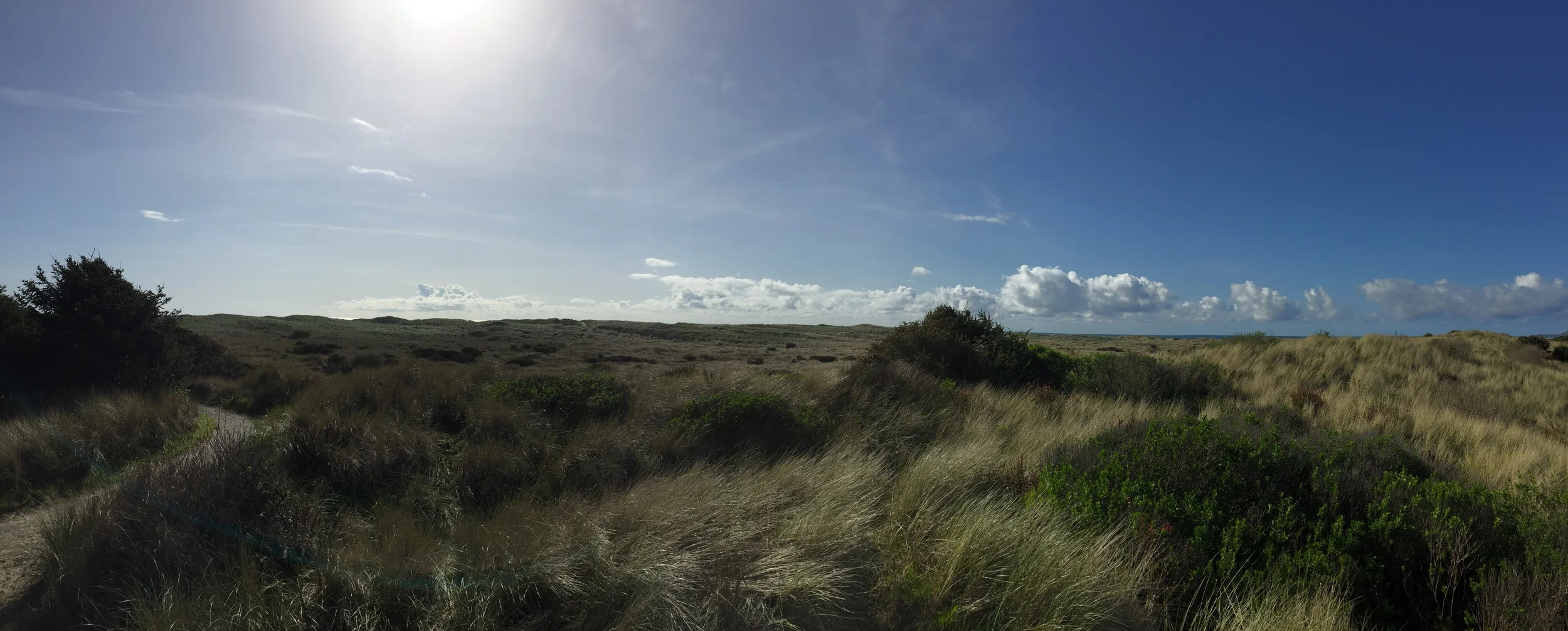 South Beach State Park - Beach Access