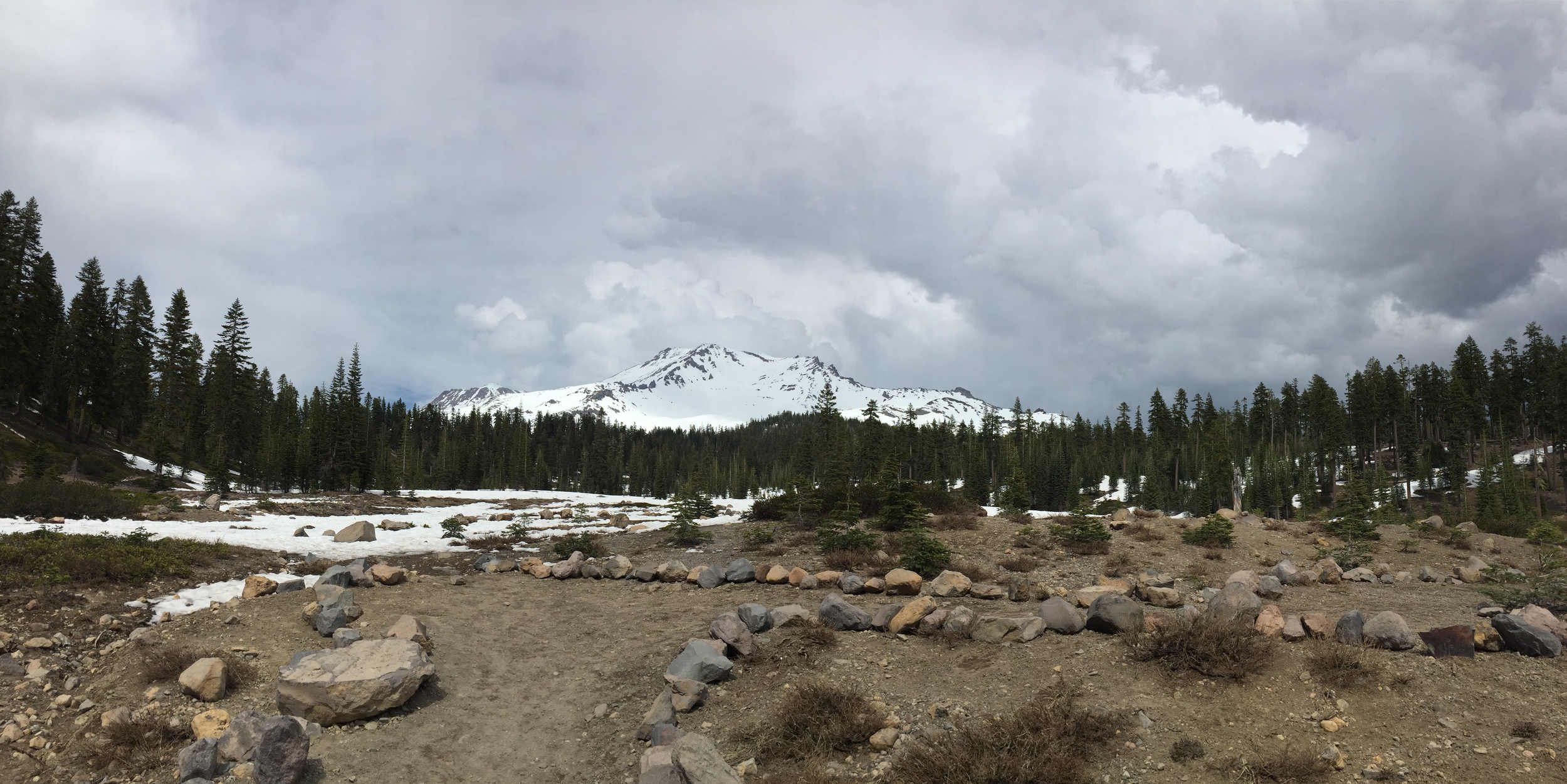Mt Shasta, as seen from Bunny Flat, elev. 7,000 (ish)