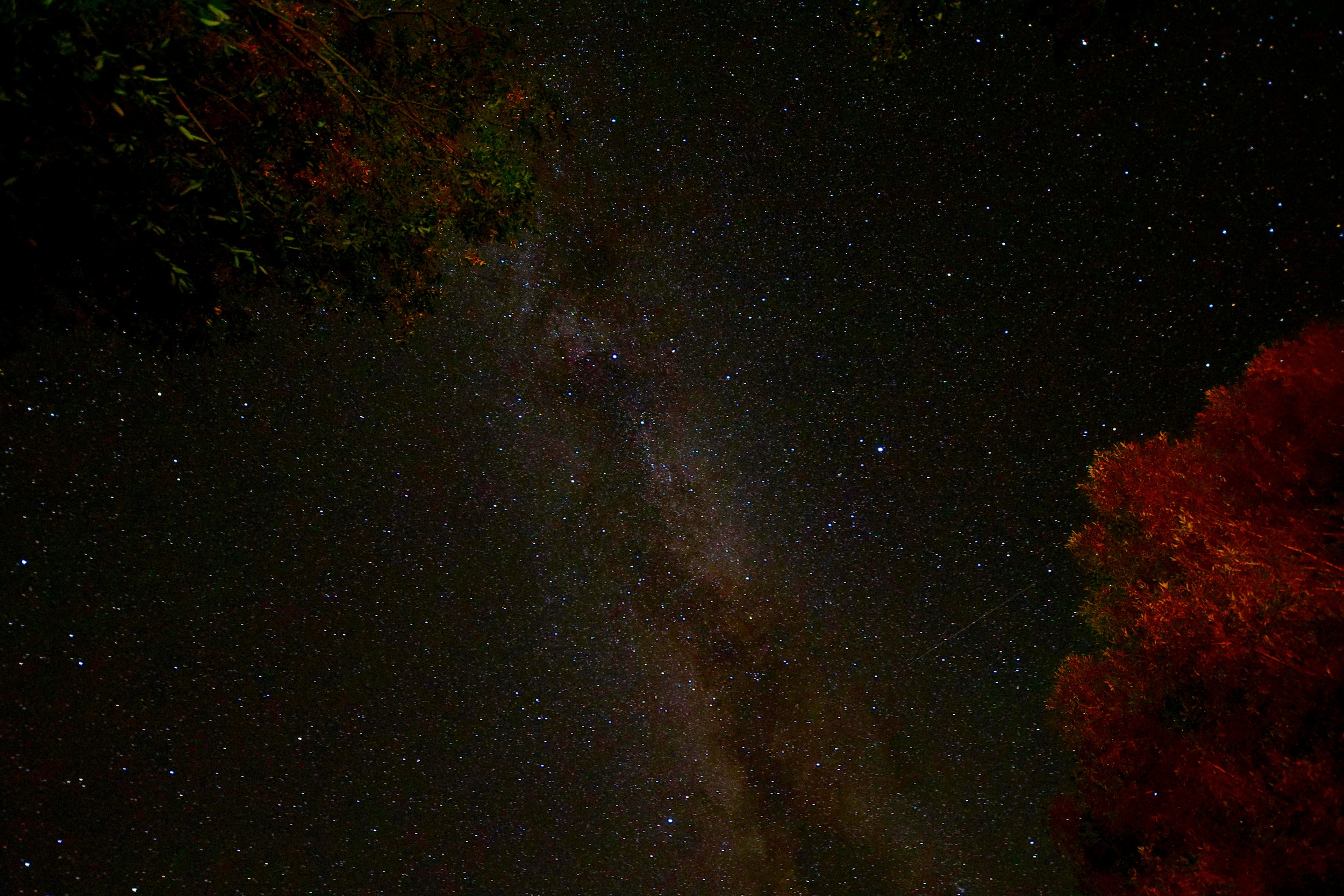 Night Visions, Jackson Hole, WY