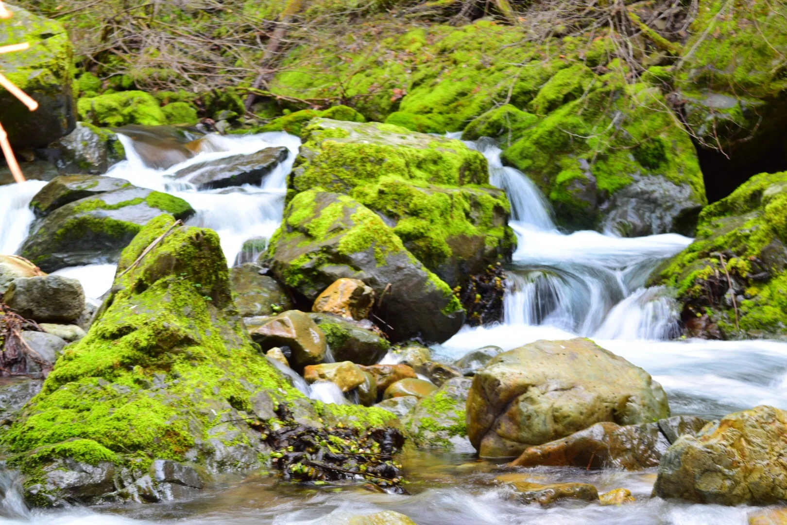 Stream Flow, Fenders Ferry Road, Northern California