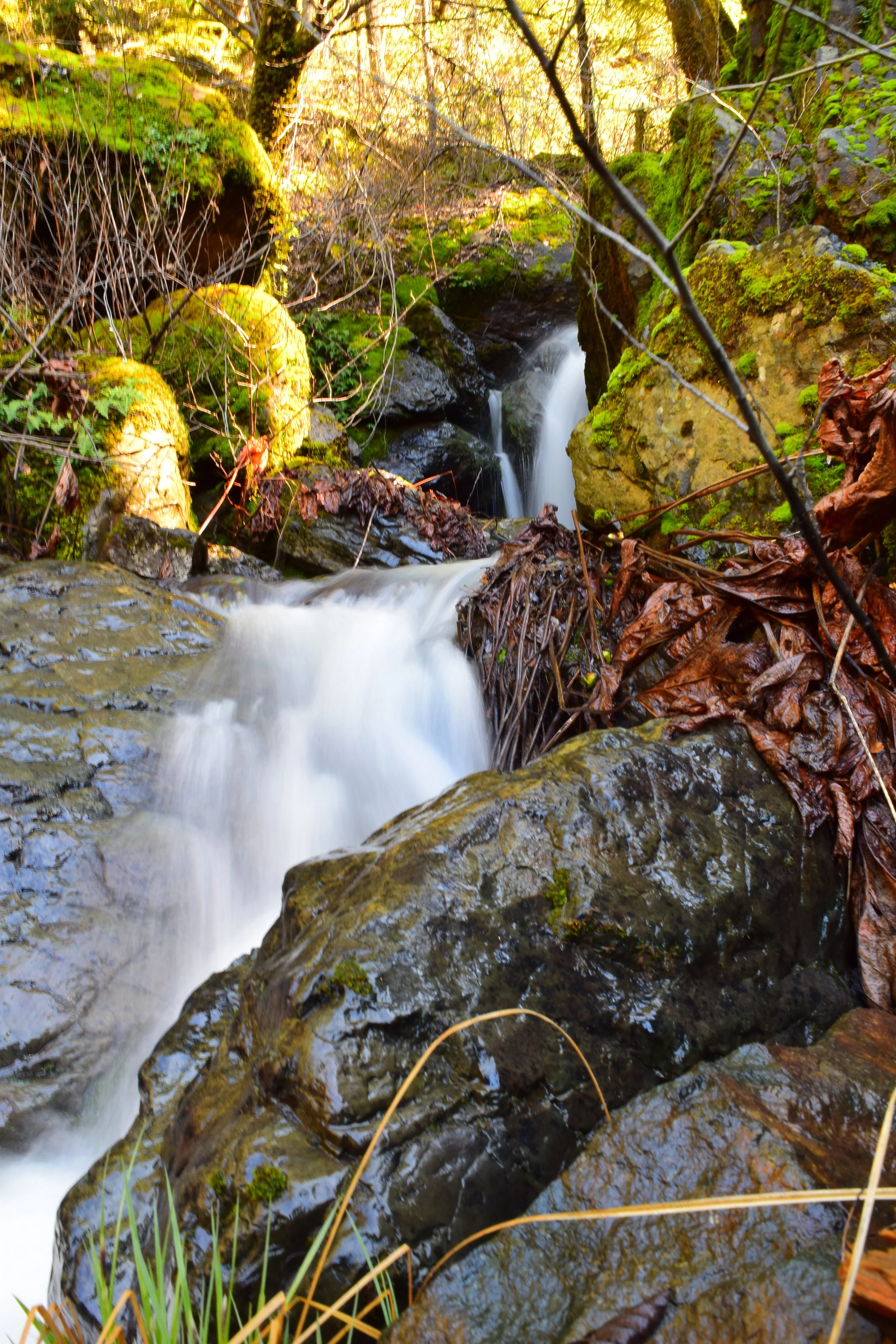 Somewhere off Fender's Ferry Road, Round Mountain, CA