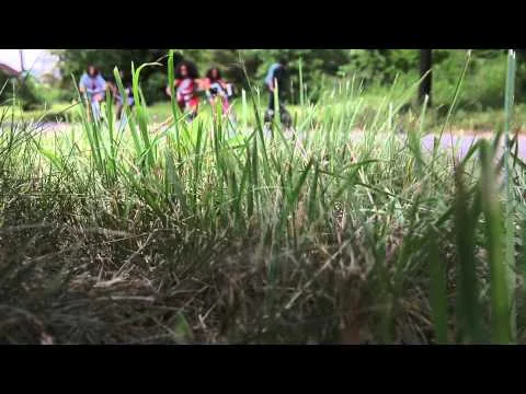 Everlasting Glory Trailer