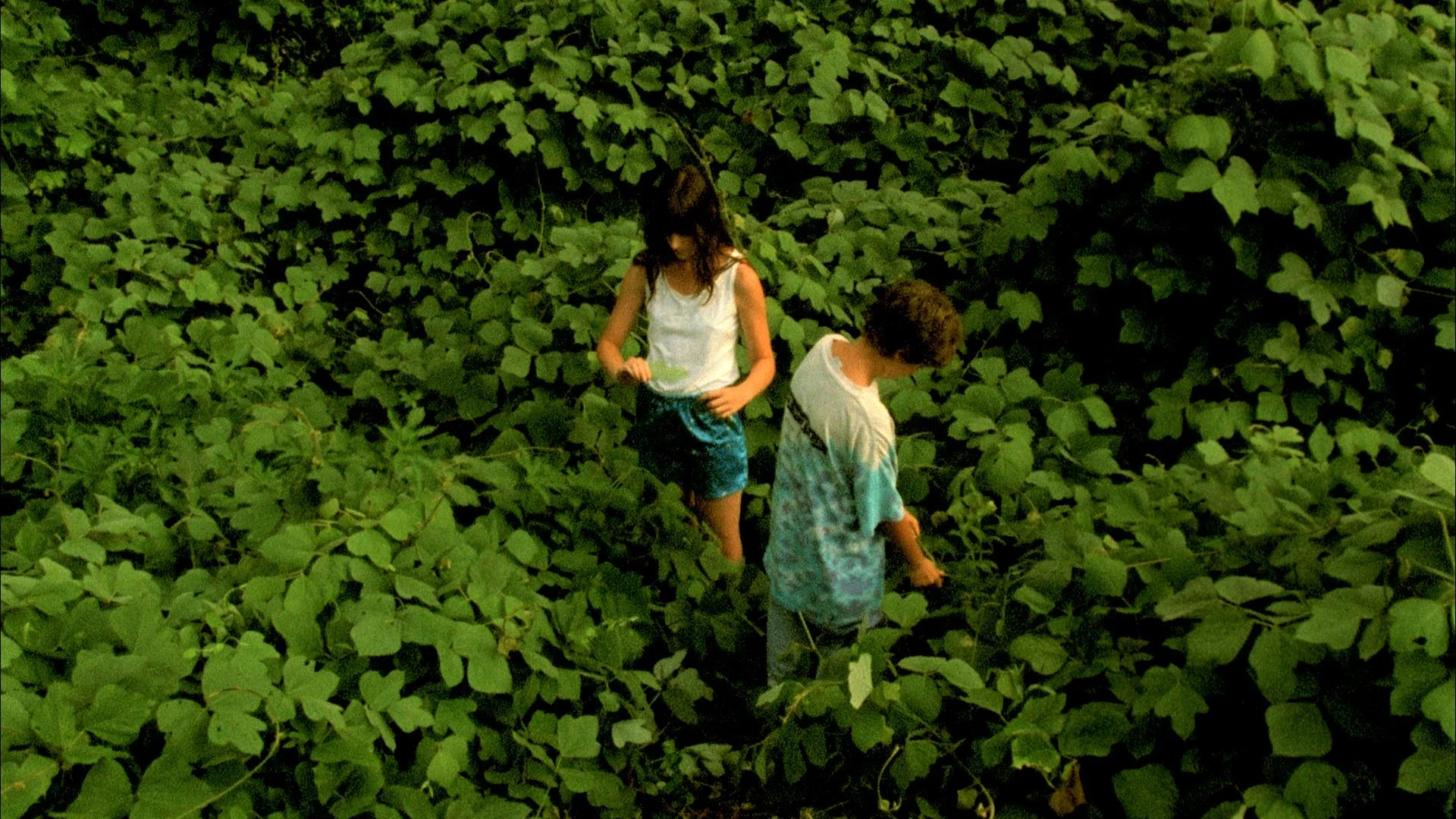 still-of-sarah-hagan-and-austin-vickers-in-jess-moss-(2011)-large-picture.jpg