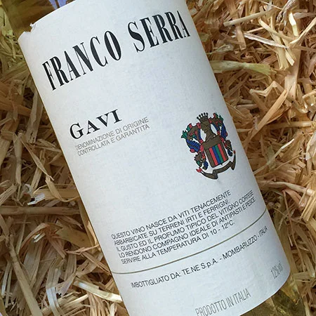 FRANCO SERRA // GAVI
