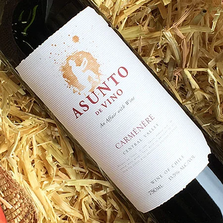 ASSUNTO DE VINO // CARMENERE