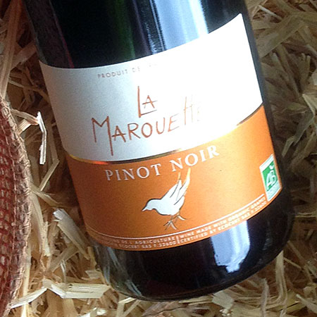 LA MAROUTTE // PINOT NOIR