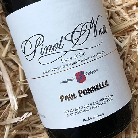 PAUL PONELLE // PINOT NOIR
