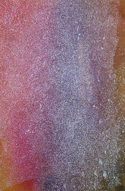 Mark Tobey Canticle, 1954