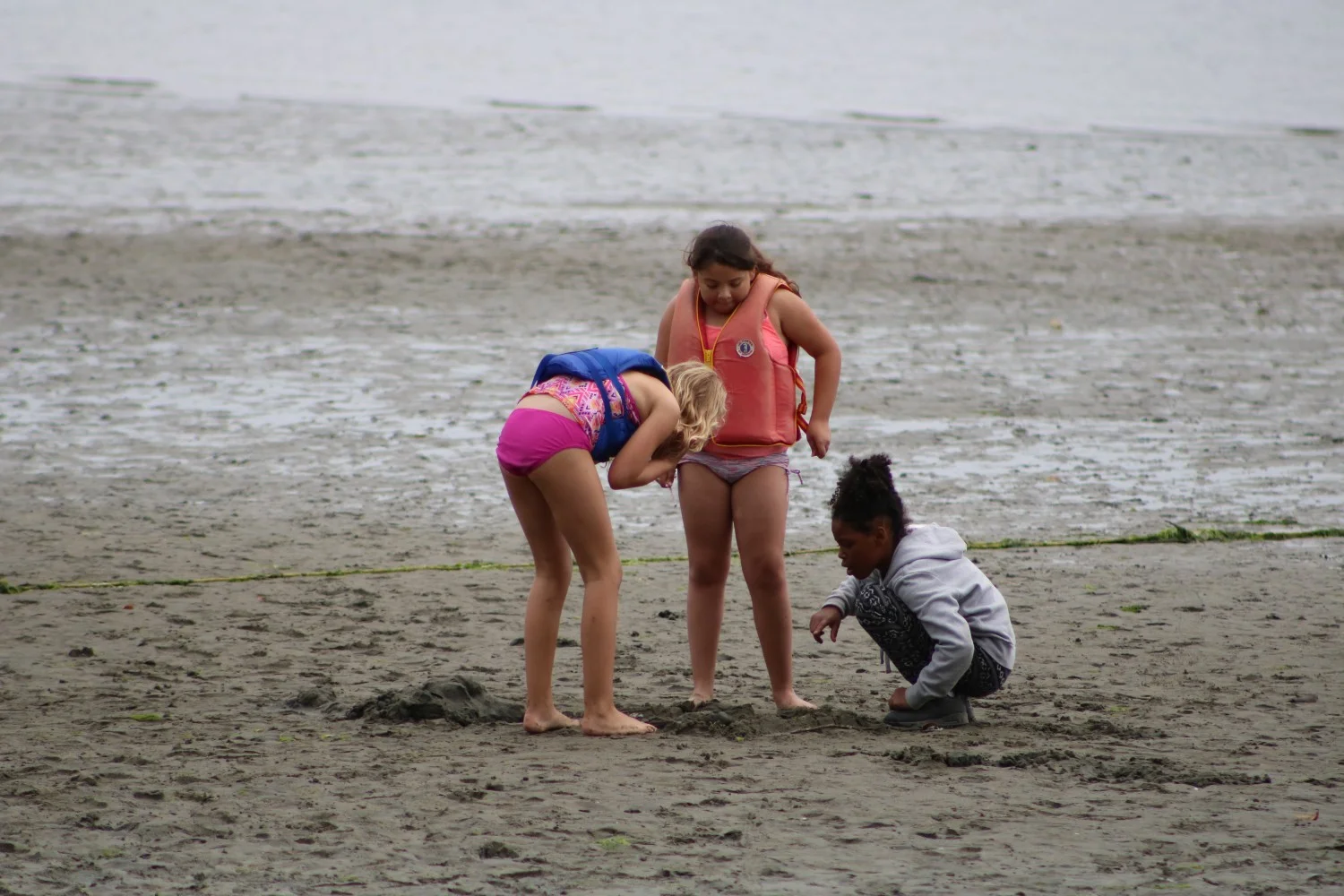 IMG_7145.jpg