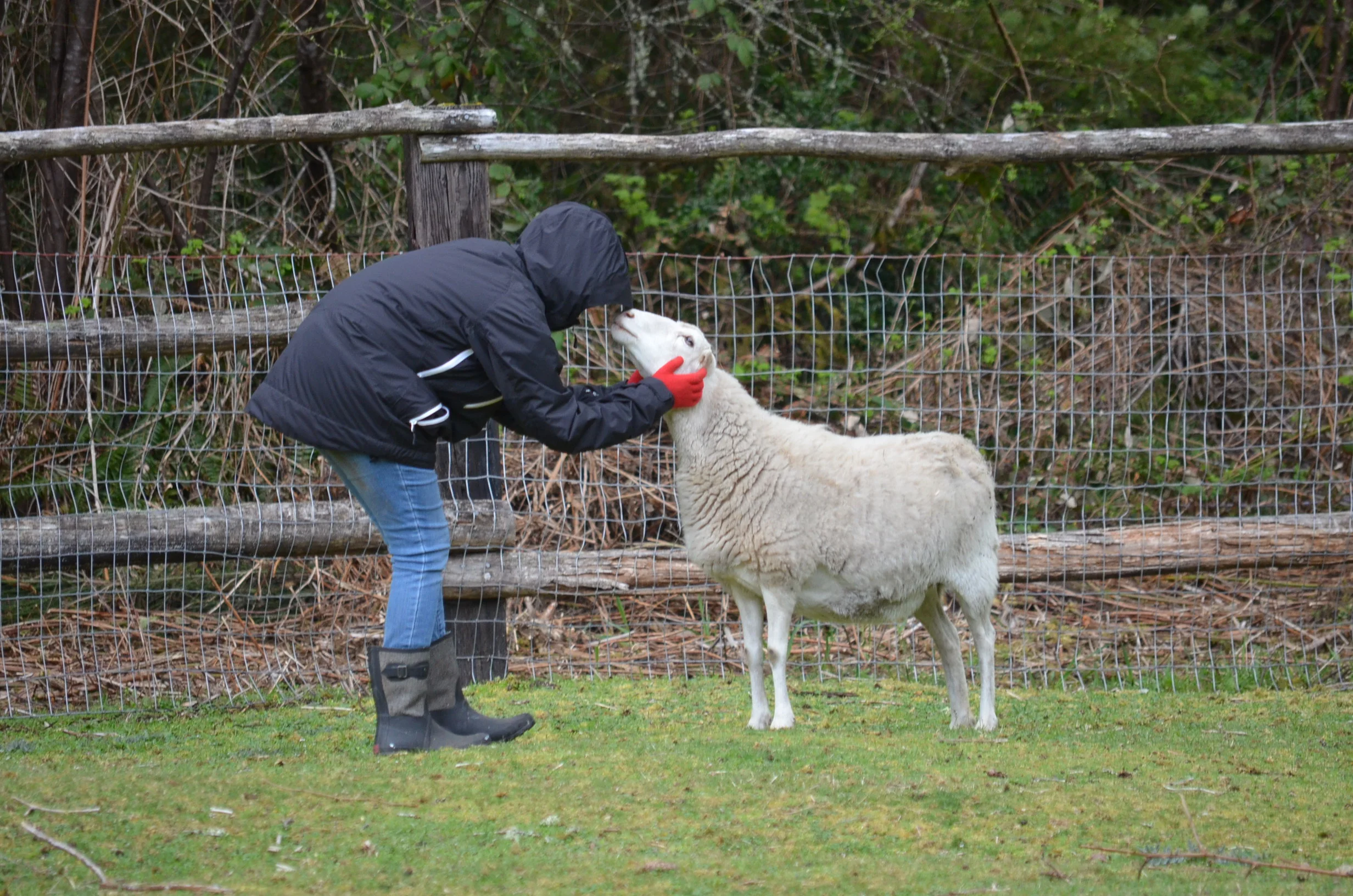 Key Peninsula Farm Tour Overnight