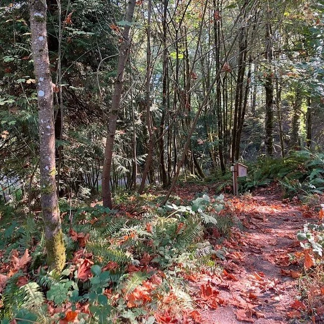 Come to Fall Foliage Weekend - October 14-16. The weather forecast is "sunny and perfect". ALL sites, lodge rooms, and cabins are discounted 33% for this weekend. Use the code: foliage22.
#fallcamping #familycamping #fallfoliage
https://www