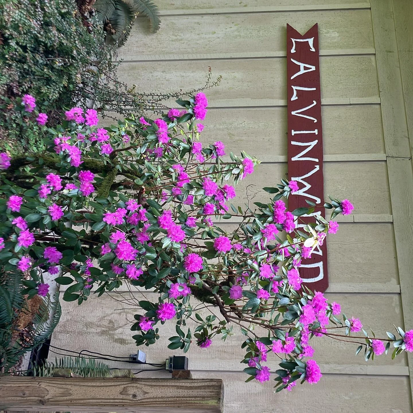 Spring has sprung.