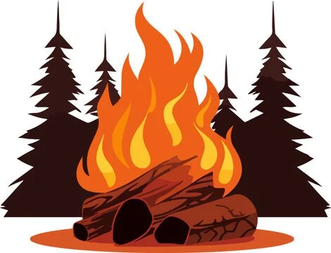 Come to a ZOOMFire