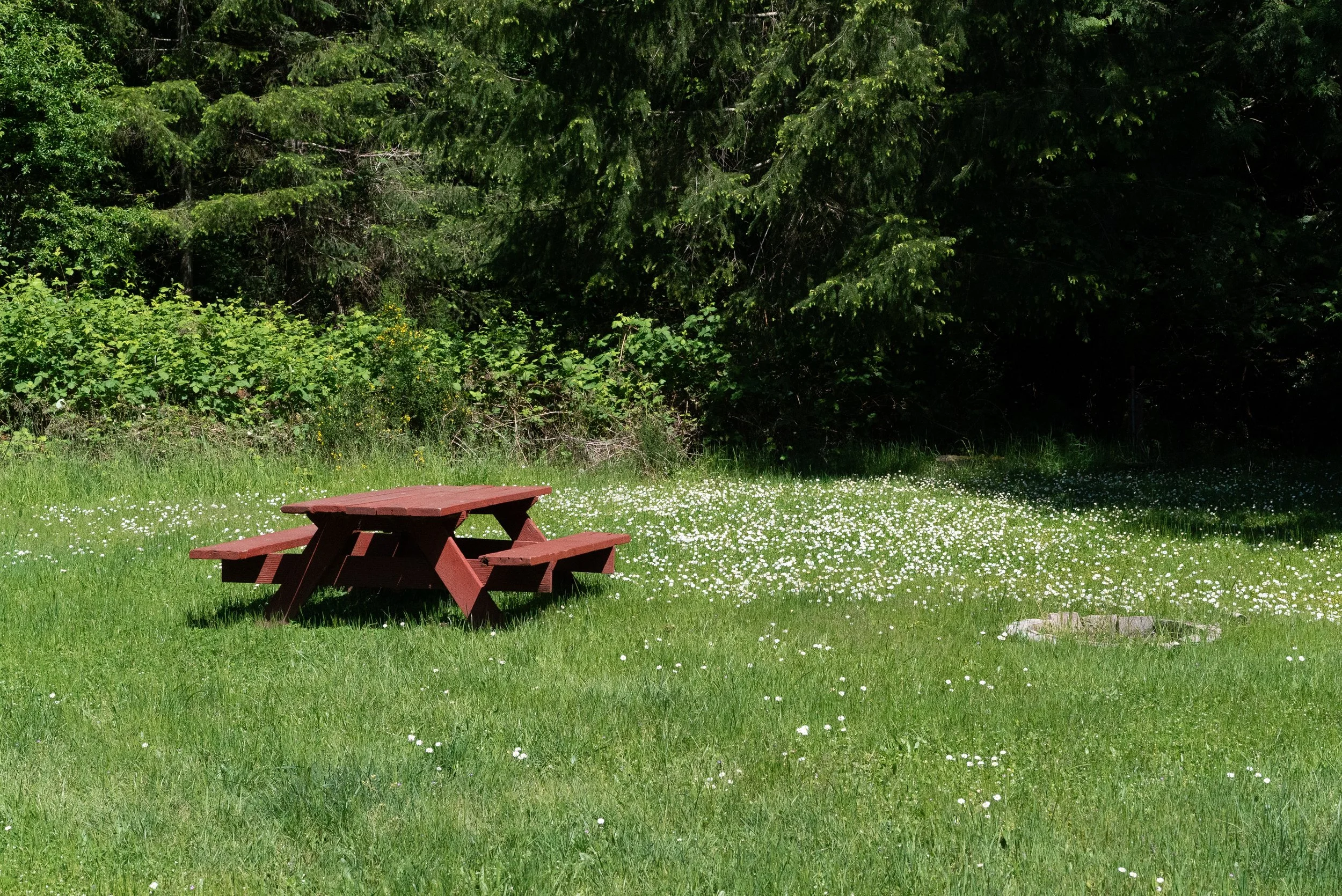 RV Field-May 2026-04176.jpg
