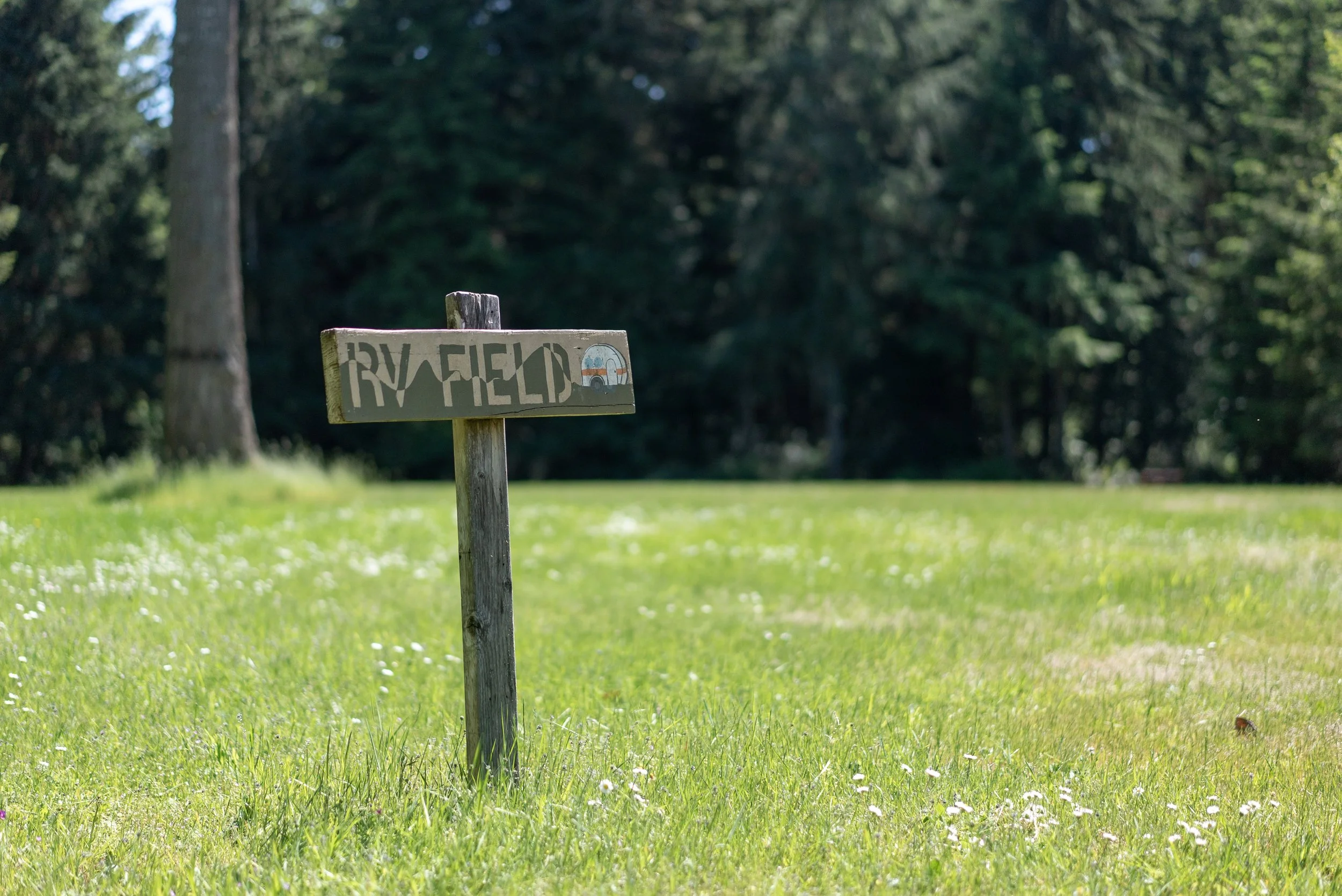 RV Field-May 2026-04201.jpg
