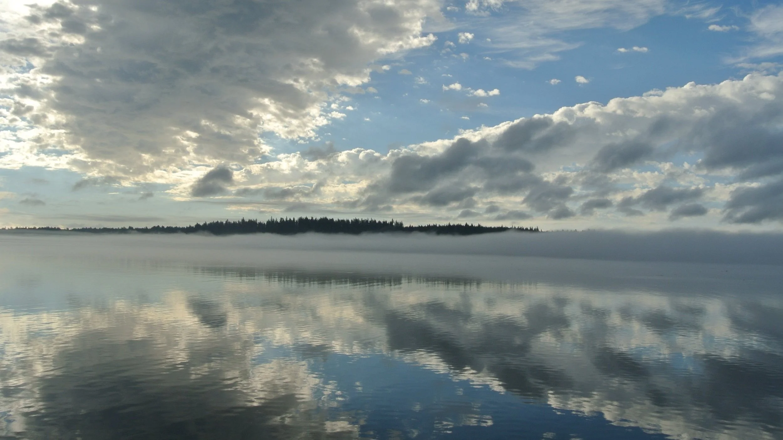 DSC_6865.jpg
