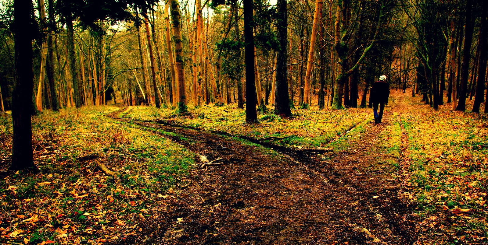 You Might Be A Hater: Or (A Path to Happiness)