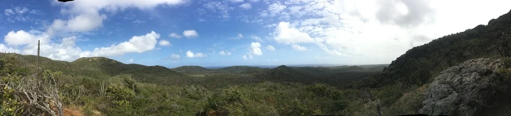 Mountain Backdrop.JPG