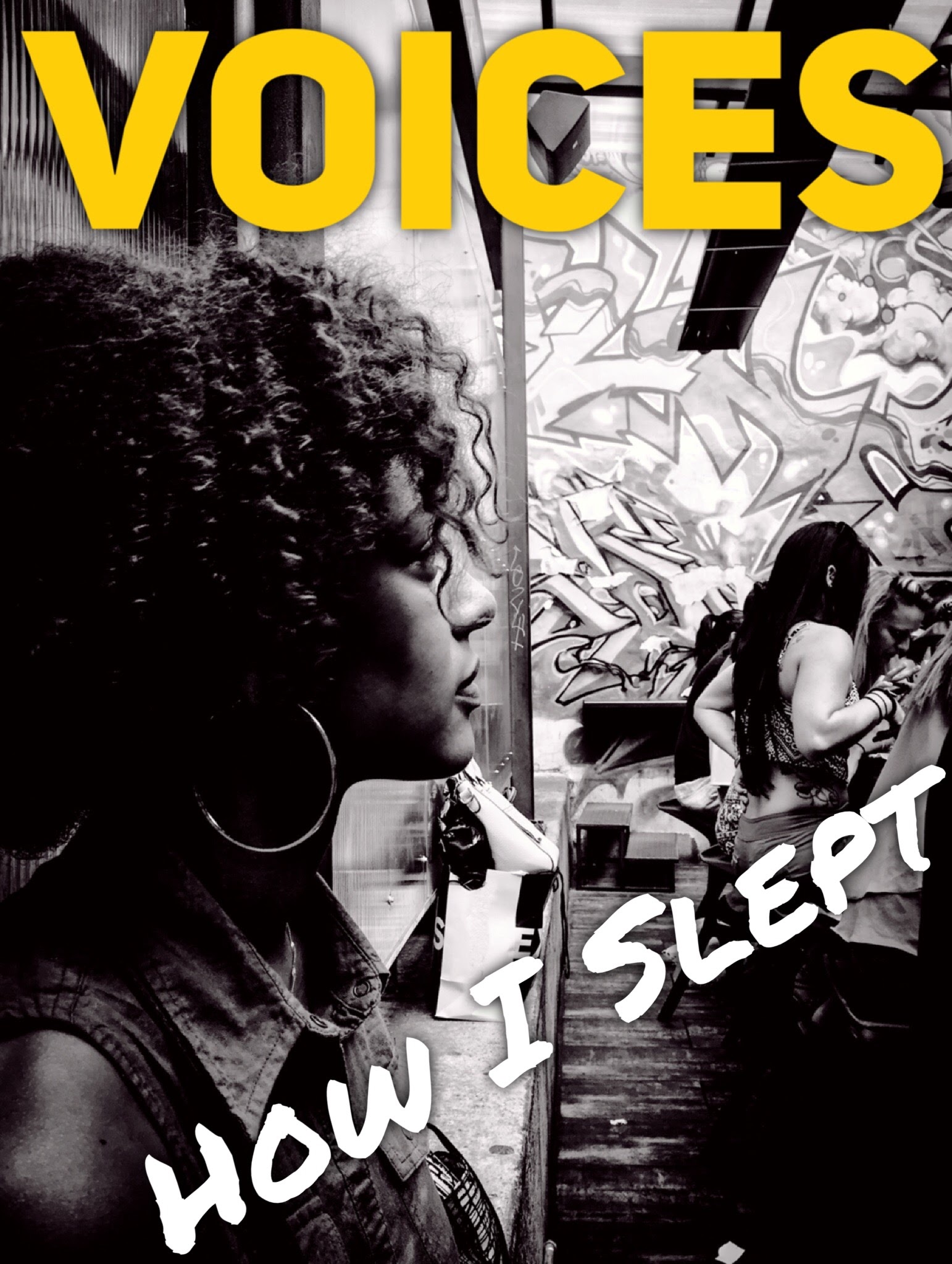 HowISleptVoices2.JPG