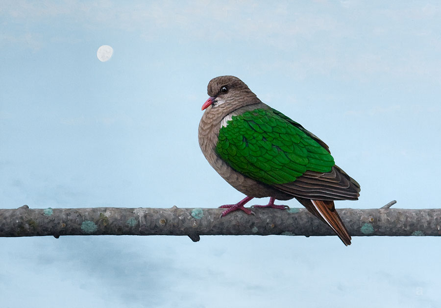Emerald Dove and The Moon
