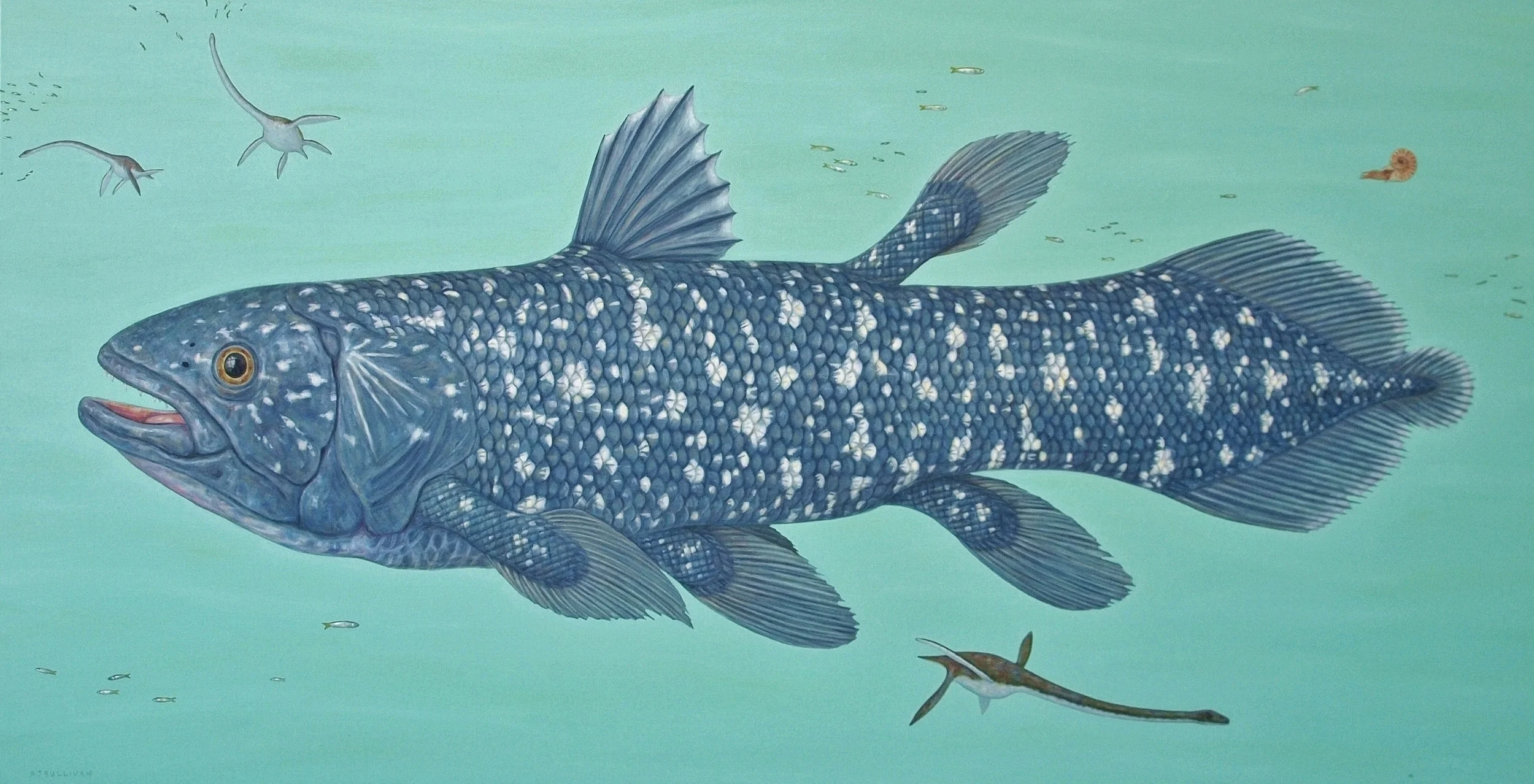 Coelacanth and Elasmosaurs