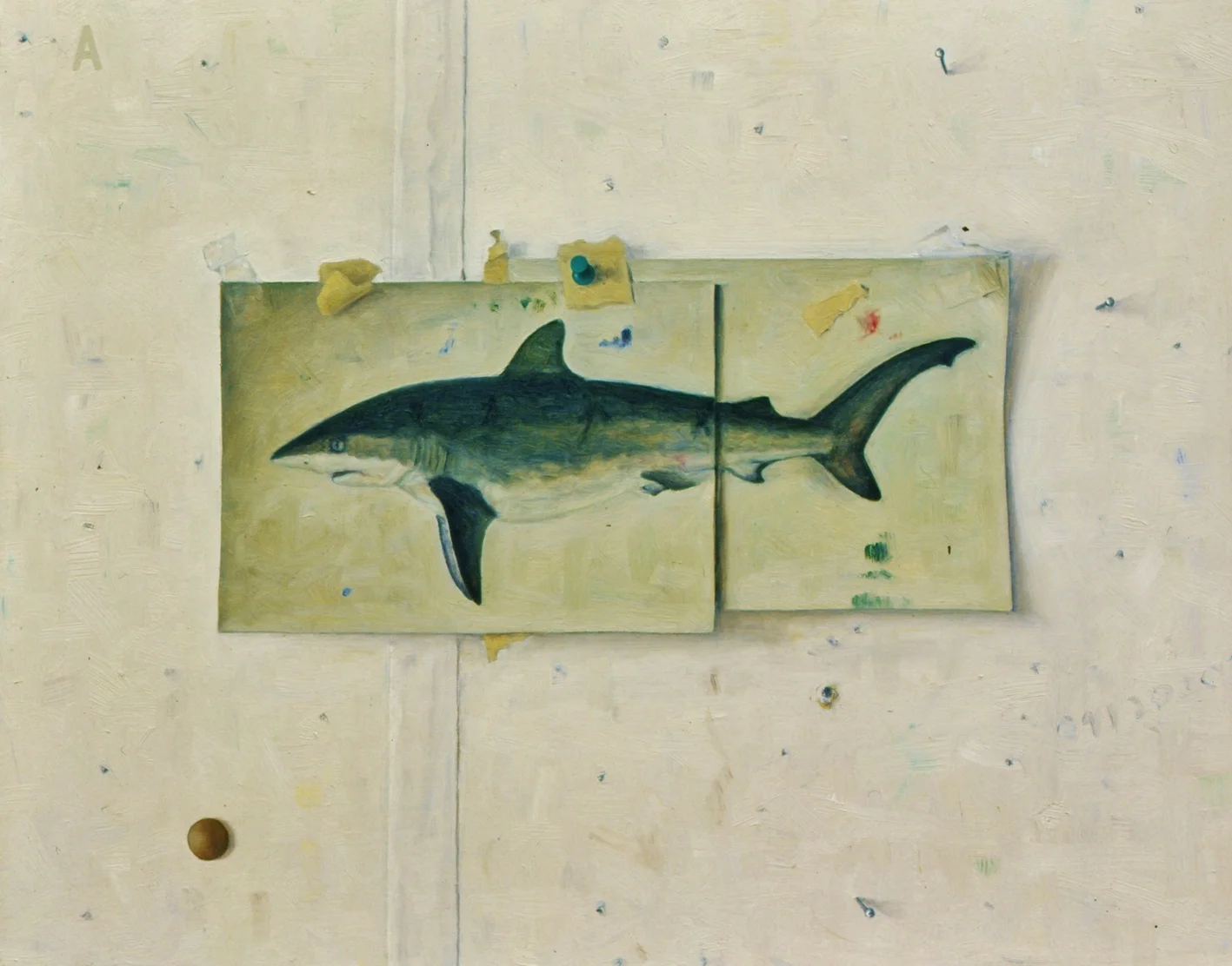 Shark