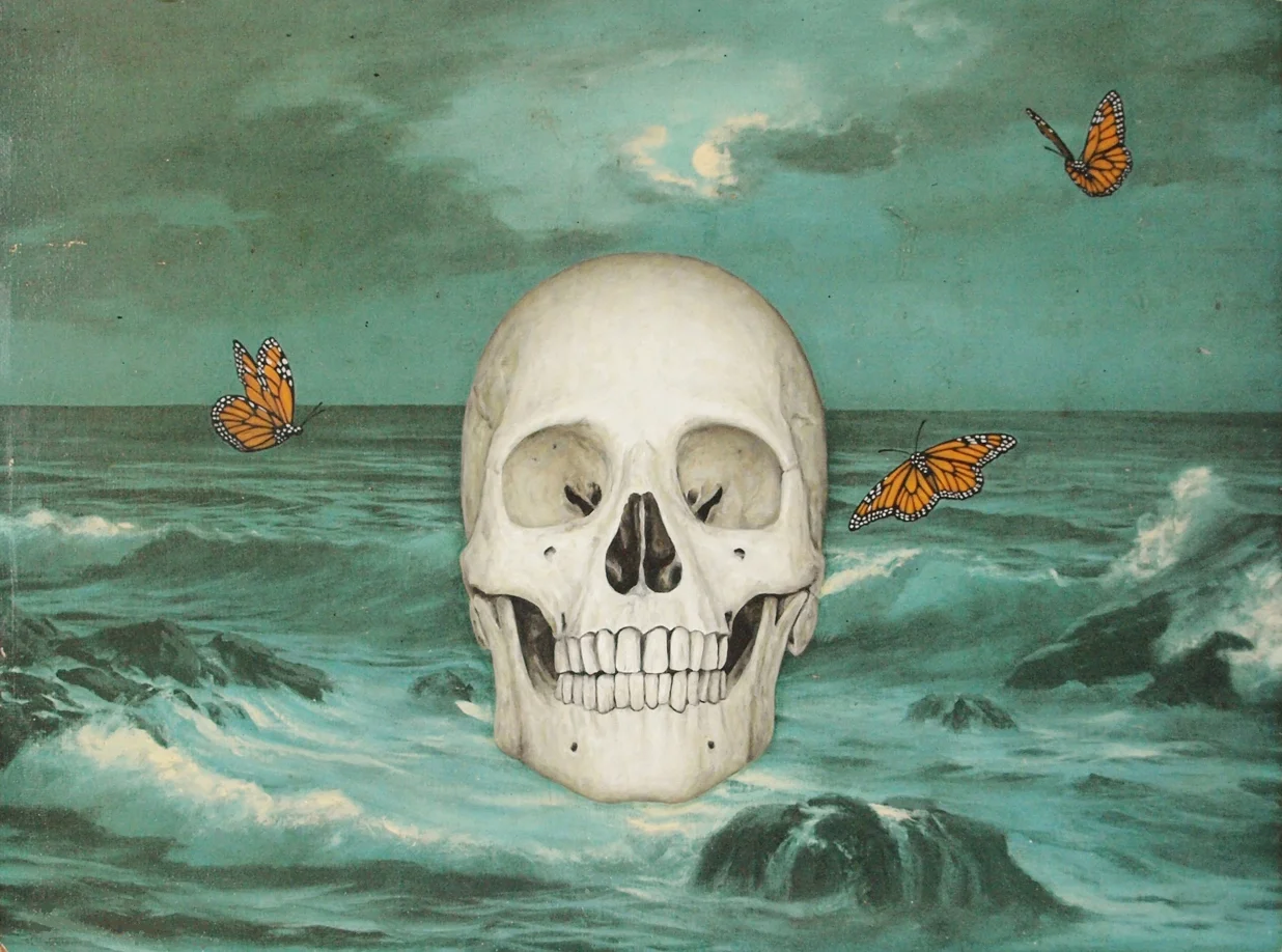 Ocean Butterfly Dream