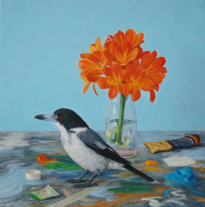 Grey Butcherbird
