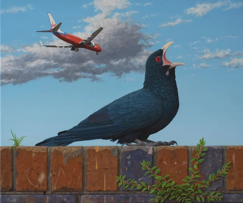 Koel