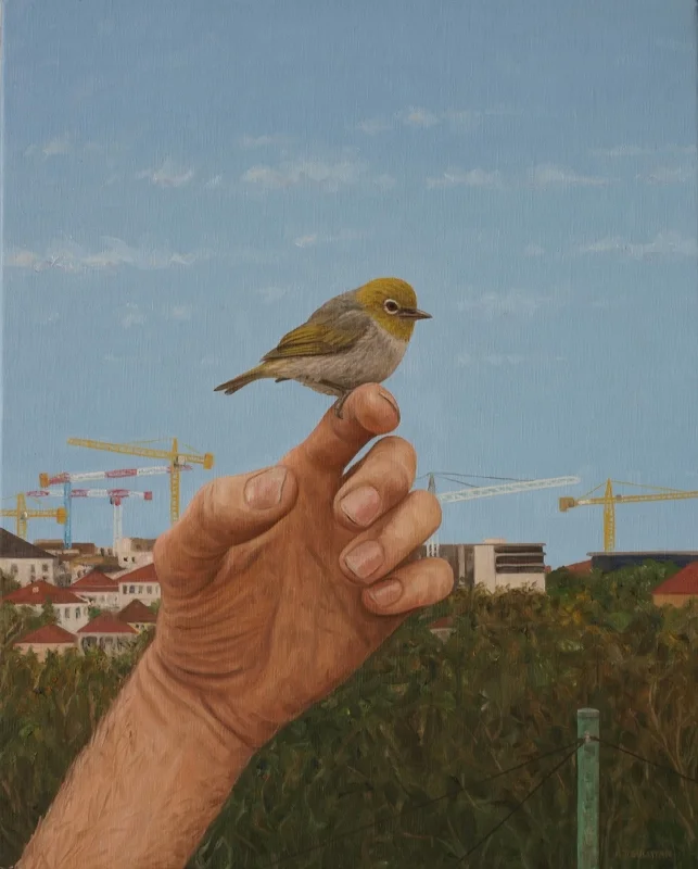 Silvereye