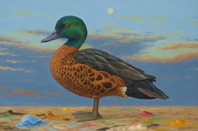 Chesnut Teal and the Moon