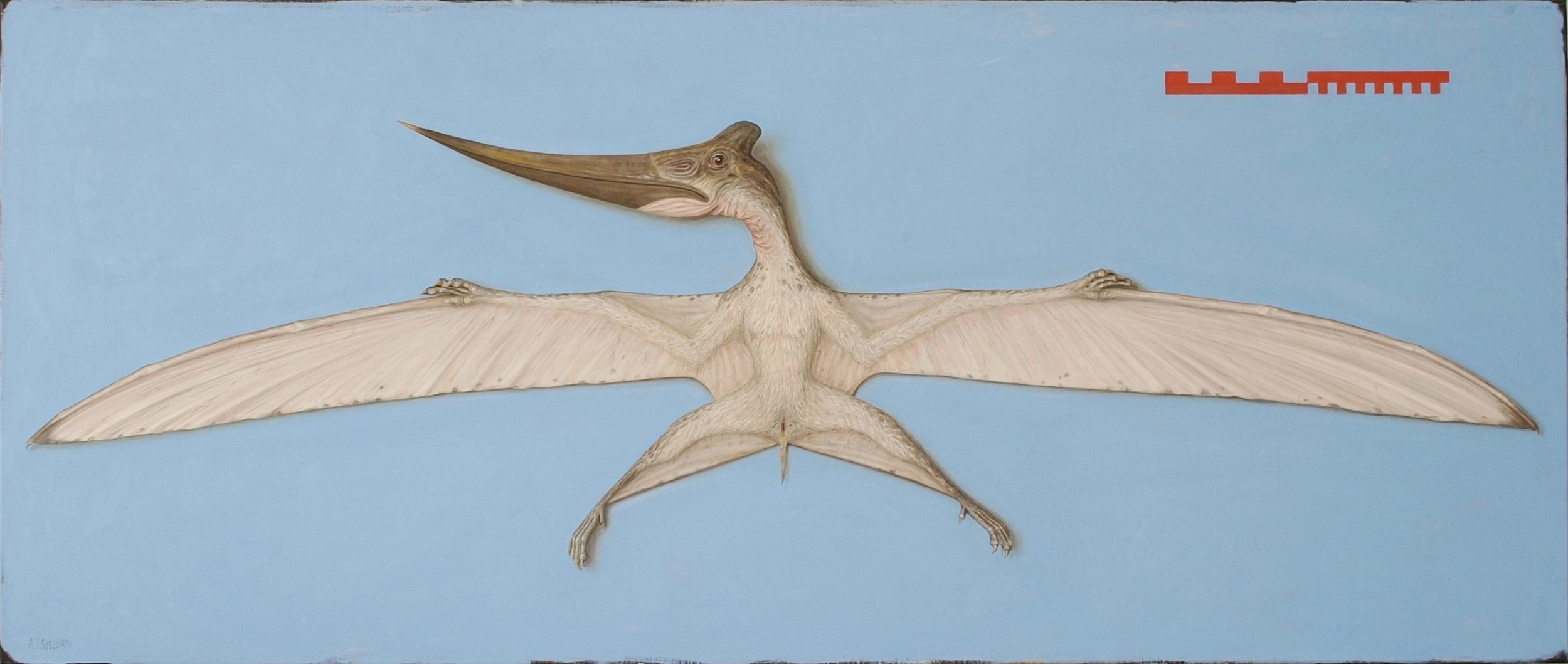 Pteranodon Juvenile