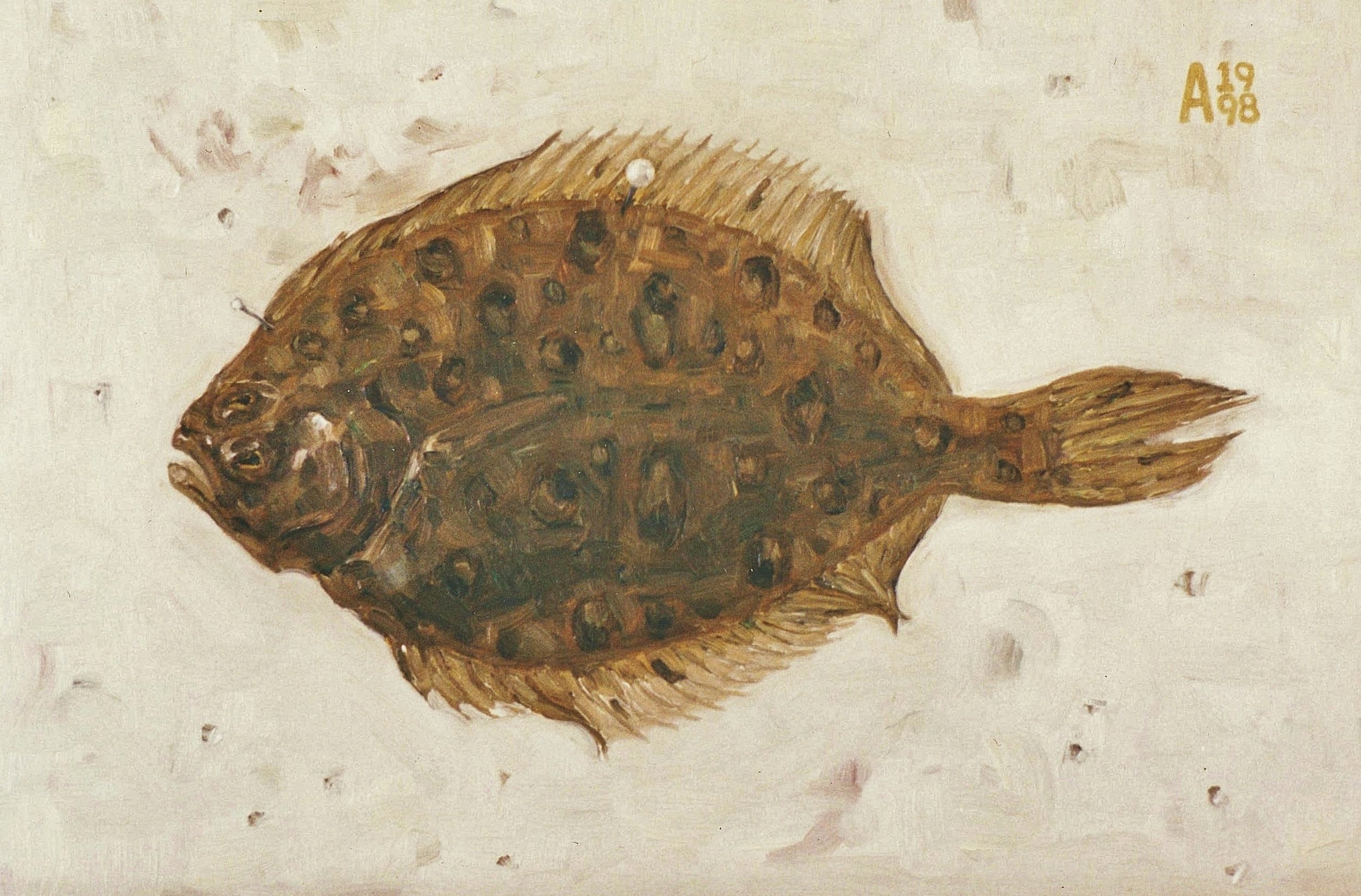 Flounder 